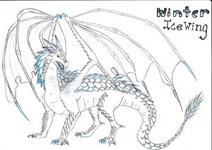 WINTERR (2).jpg