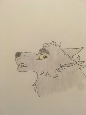 2019-08-25 21-15-16 721.jpg