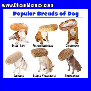 13breads.png