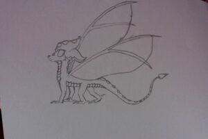 2019-7-3 上午8.45 拍摄的照片.jpg