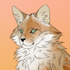 -insert name here-.png