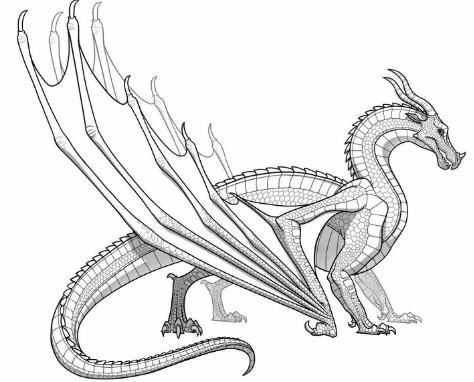 File:Average SkyWing.png