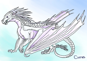 Cirrus of the icewings by happyfalconqueen-d9l3esh.jpg