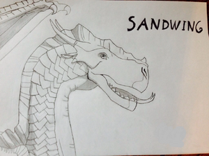 A typical female SandWing.jpeg