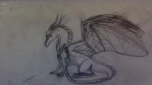 PSX 20190102 161918.jpg