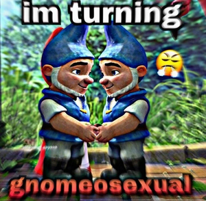 Gnomeosexual.jpeg