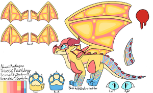 HC Kinkajou design by Whale-is-best-boi.png