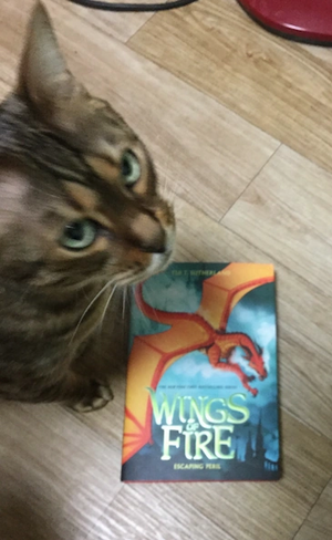 Screen Shot 2016-01-16 at 12.46.13 PM.png