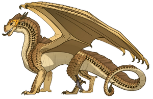 Reference (GN Accessories) 