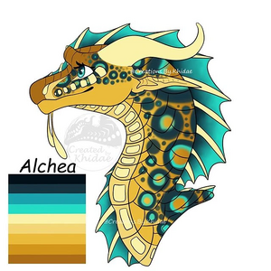 83840358 587721912080610 5126008901644871386 n.jpg