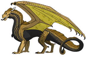 CoyoteTemplate BP.png