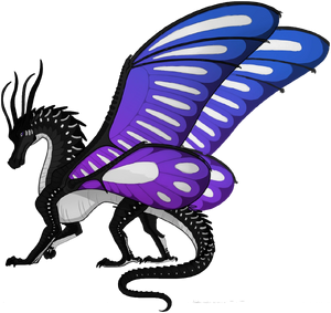 Silkwing nightwing hybrid.png