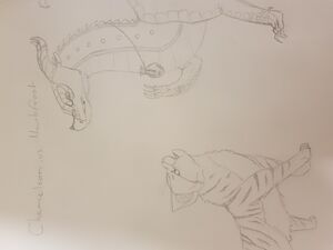 20180420 184941 (1).jpg