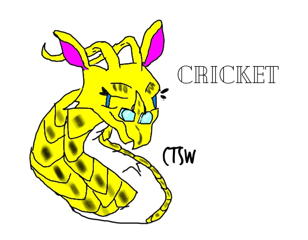 File:Cricket by CoastalTheSeaWing.png