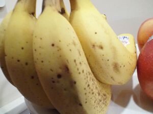 2015-12-22 17.18.30.jpg