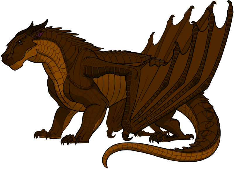 File:Clay Ref by Sassy the Beagle.png