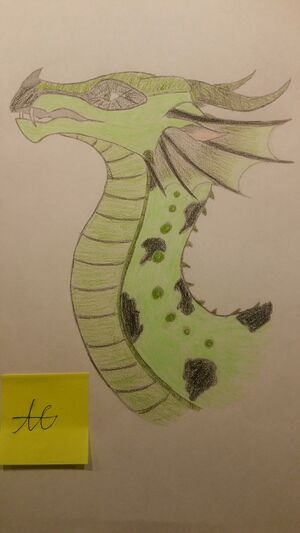 2020-01-07 18.16.02.jpg