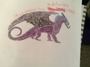 Stargazer the Nightwing.jpg