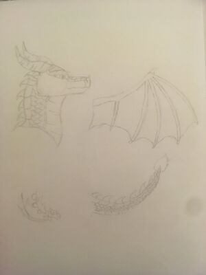 2019-09-15 19-51-15 806.jpg