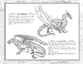 The SkyWing and SeaWing page from Moon Rising to Darkness of Dragons.