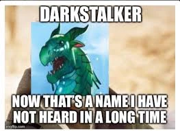 File:Turtle Meem.jpeg