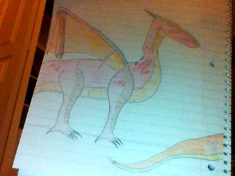 File:Skywings by FireSand.jpg