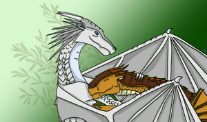 Hvitasha by Solstice.PNG