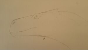 20200328 0859522.jpg