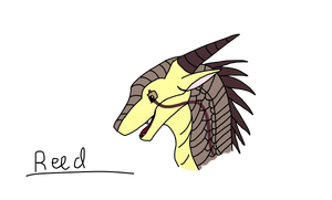 Reed Ref.png