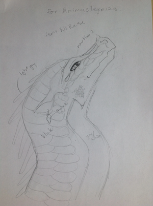 Wisdom unfinished.jpeg