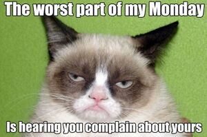 002 best-Grumpy-Cat-memes.jpg