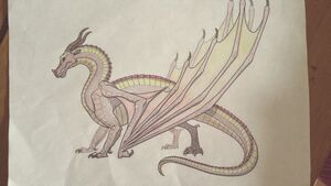 2019-06-02 09.59.09.jpg