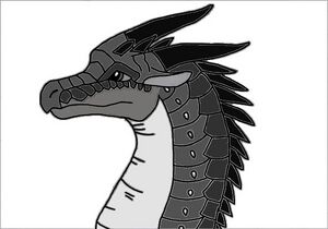 2020 02 04 Kleki (4).jpg