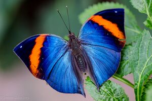 11961770966 cd5e5a8e0b b.jpg