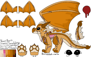 HC Burn design by Whale-is-best-boi.png