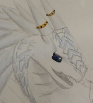 20170104 203306 (1).jpg