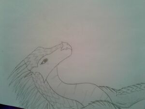 20180310 161121(1).jpg