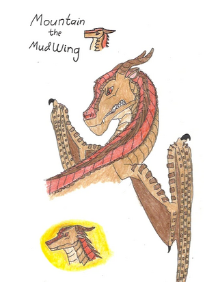 Mountain the MudWing.jpeg