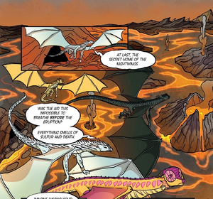 NightWing island WT GN.jpg