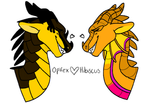 2025 02 12 0jw Kleki.png