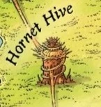 Hornet Hive closeup.jpg