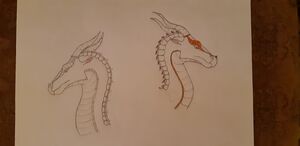 20200102 182928 - Edited.jpg