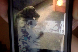 Photo on 4-3-20 at 9.00 PM.jpg