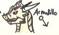 Armadillo by QueenClam