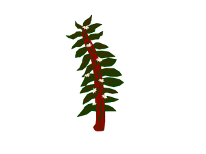 Breath of the wild.png