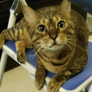 14650176 129711804163683 2123869628265975149 n.jpg