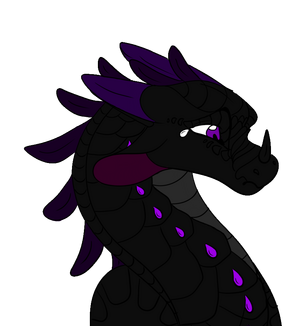 -Shadowstalker headshot.png