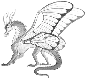 SilkWing Ref PhotoCropped.png