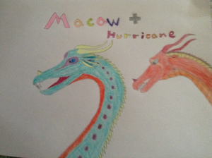 Macaw and Hurricane.jpg
