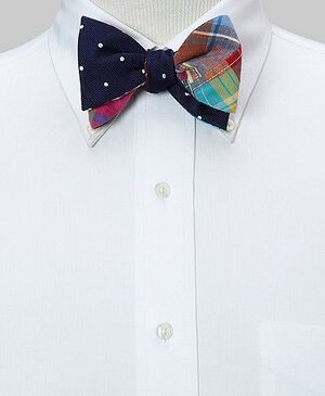 174e2dfbcc441da4023b02bb199cc5ee--cool-ideas-bowties.jpg